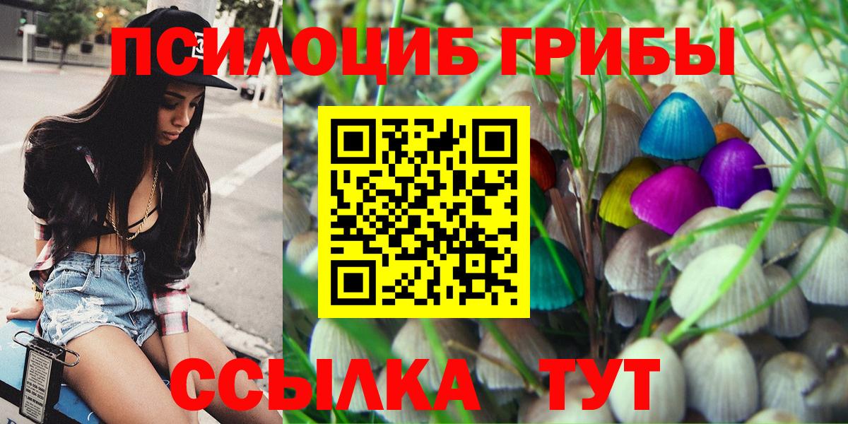 Заволжье  Галлюциногенные грибы GOLDEN TEACHER  Вход с VPN 