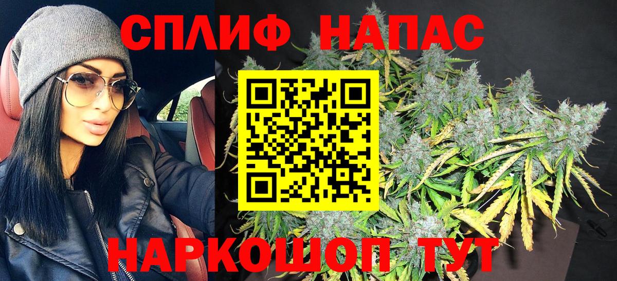 Канабис SATIVA & INDICA Заволжье